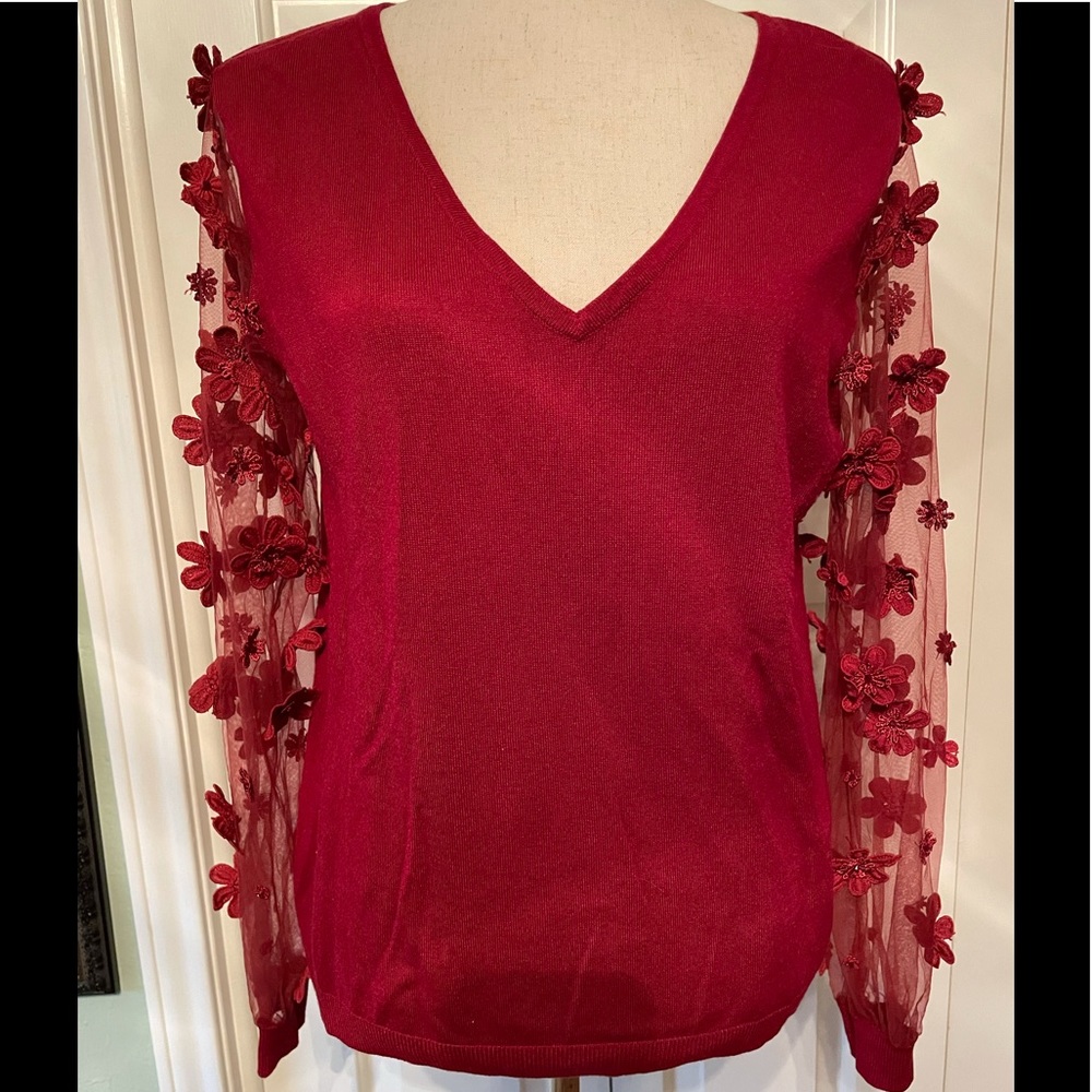 Red V neck sweater